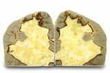 Beautiful Septarian Geode Bookends - Utah #288940-1